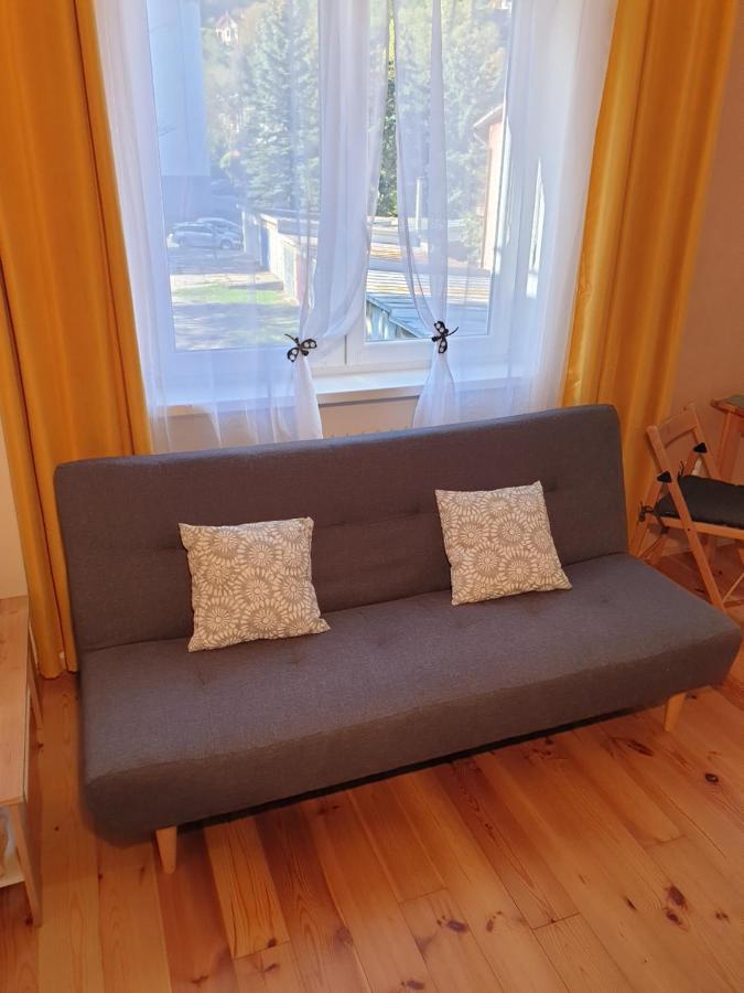 Apartman Central, Self Check In 24 H, Free Parking バンスカー・ビストリツァ エクステリア 写真