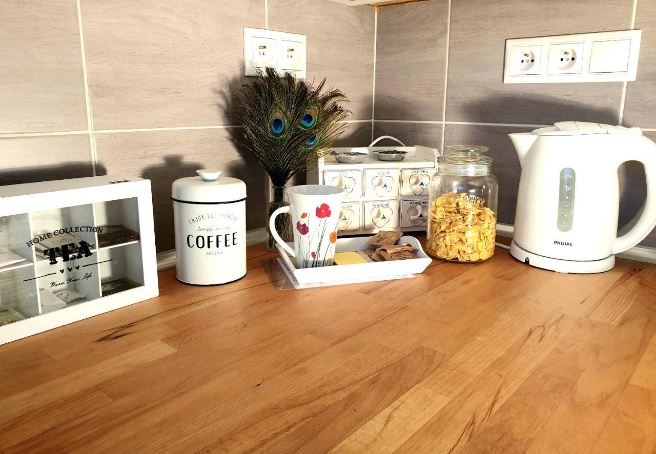 Apartman Central, Self Check In 24 H, Free Parking バンスカー・ビストリツァ エクステリア 写真