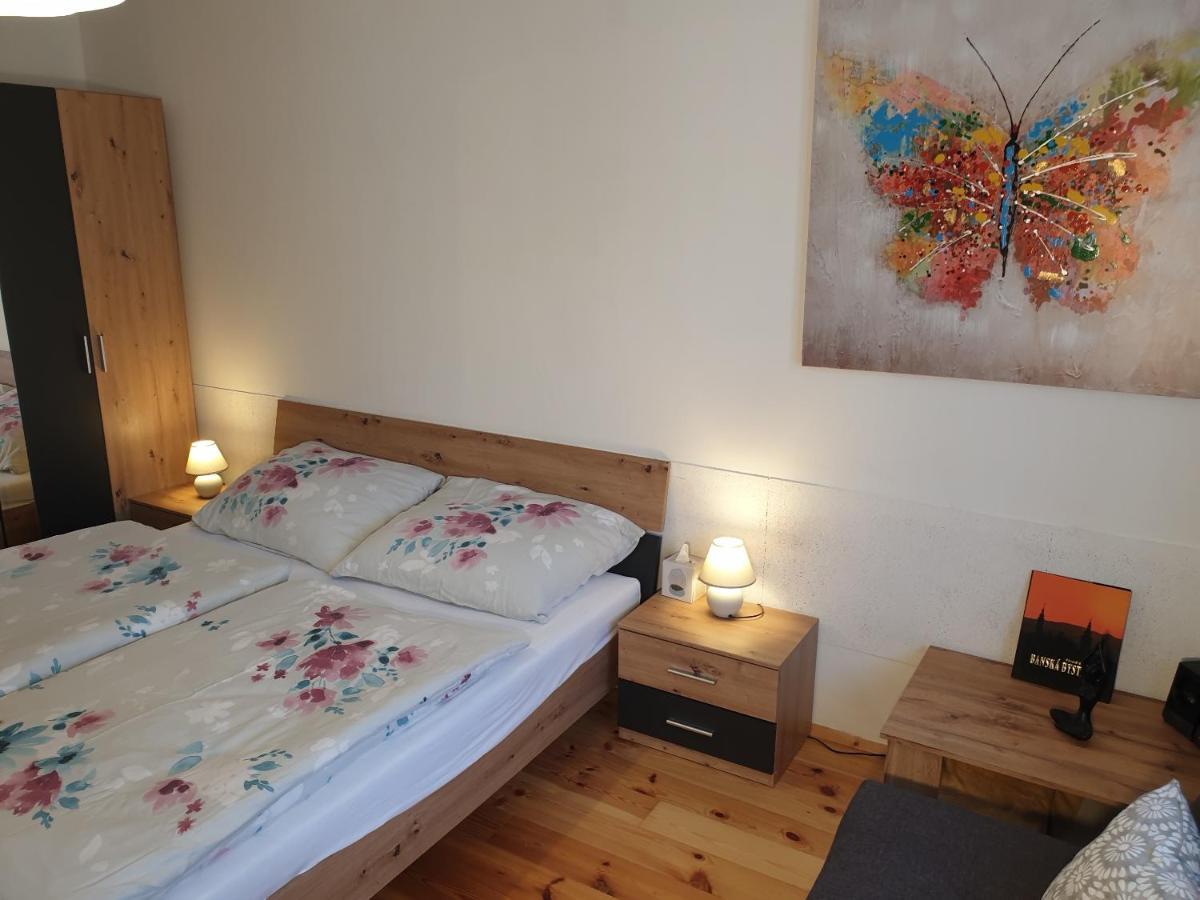 Apartman Central, Self Check In 24 H, Free Parking バンスカー・ビストリツァ エクステリア 写真
